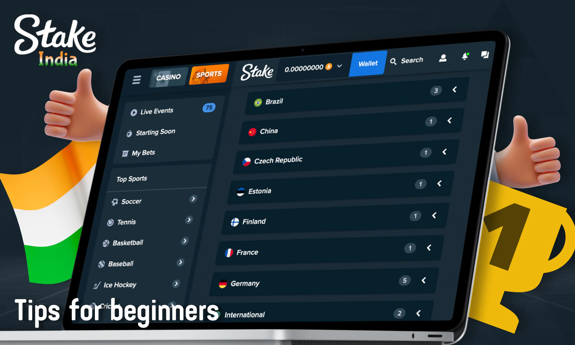 Tips for beginner bettors at Stake India
